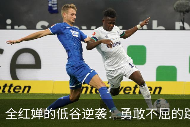 全红婵的低谷逆袭：勇敢不屈的跳水天才