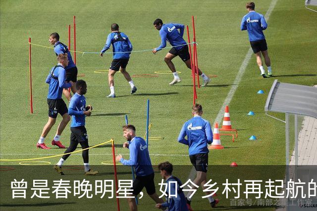 曾是春晚明星，如今乡村再起航的牛群