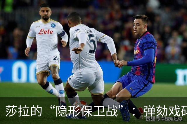 莎拉的“隐形保卫战”：弹劾戏码的奇妙变奏